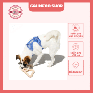 Đồ Chơi Thú Cưng Hà Nội Gâu Meo