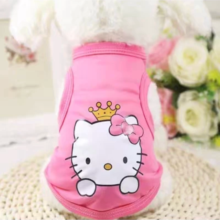 mang vẽ nữ tính hiền dịu cho pet của bạn\