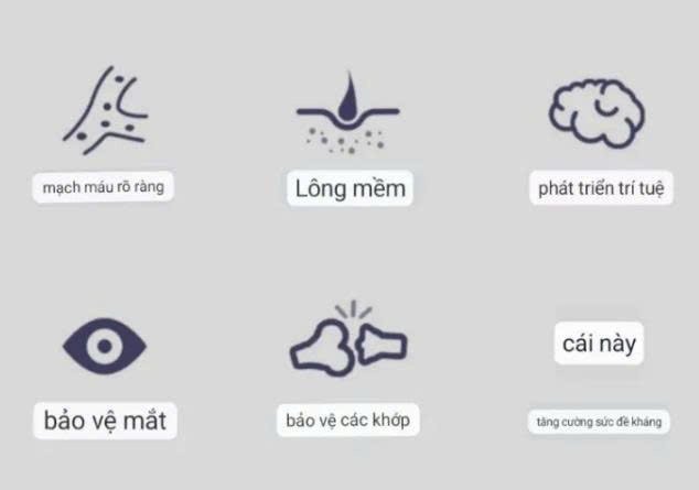 Dầu Cá Cho Thú Cưng - Ảnh 2
